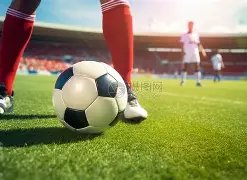 费耶诺德斯,特林表现不,前荷兰国脚,双赢彩票官方网站,双赢彩票团队,双赢彩票,双赢彩票体育集团,双赢彩票赛事平台,双赢彩票直播公司